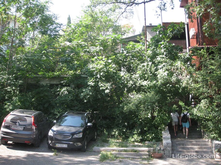 Улицы в Алупке, Крым