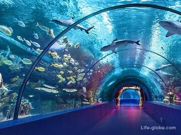 Antalya Aquarium (Antalya Oceanarium), with tunnel, terrarium, snow, museum, cinema