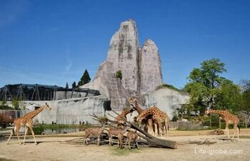 Парижский зоопарк (Венсенский зоопарк, Parc zoologique de Paris): сайт, билеты, адрес, животные