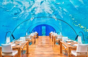 Подводный ресторан Ithaa, Мальдивы (Conrad Maldives Rangali Island отель)