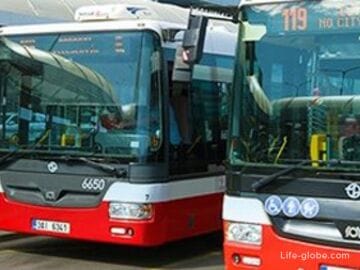 How to get from Prague airport to the center (from the center to the airport): bus, taxi, car