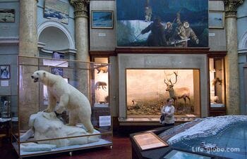 Музей Арктики и Антарктики, Санкт-Петербург: фото, сайт, адрес, экспозиции