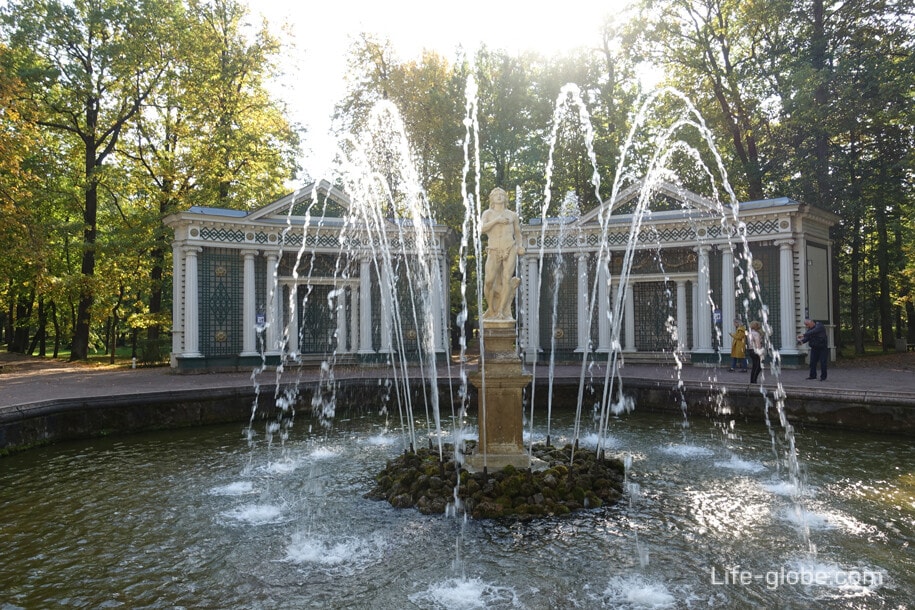 площадь нижнего парка петергоф