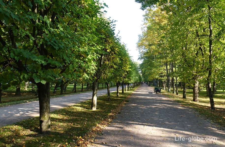площадь нижнего парка петергоф