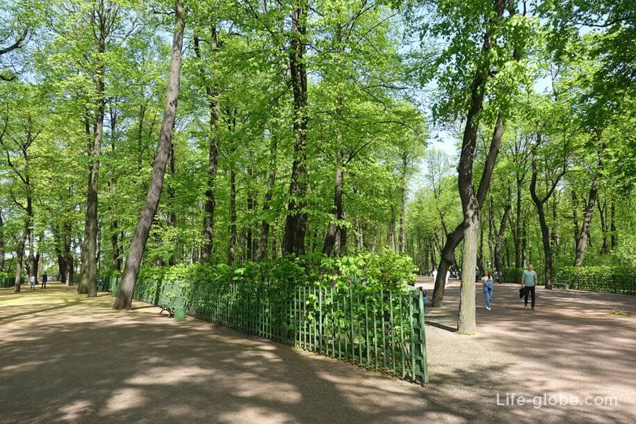 Summer Garden in Saint Petersburg - the oldest in the city
