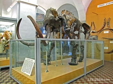 Зоологический музей, Санкт-Петербург: сайт, фото, адрес, животные