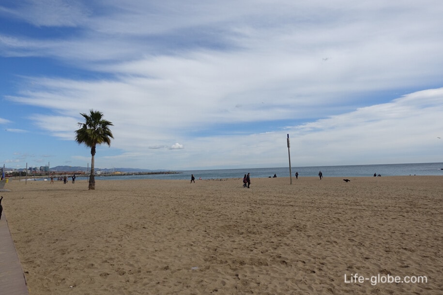 Beaches of Barcelona. The coast of Barcelona