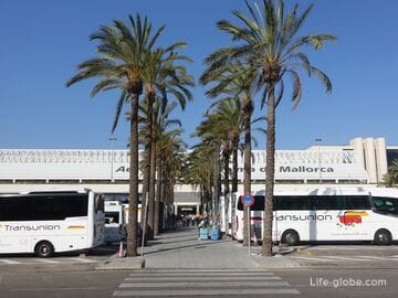 Anfahrt vom Flughafen Mallorca zu den Städten und Resorts der Insel (Palma, Magaluf, Pegera, Arenal, Picafort, Alcudia, Cala Millor usw.)