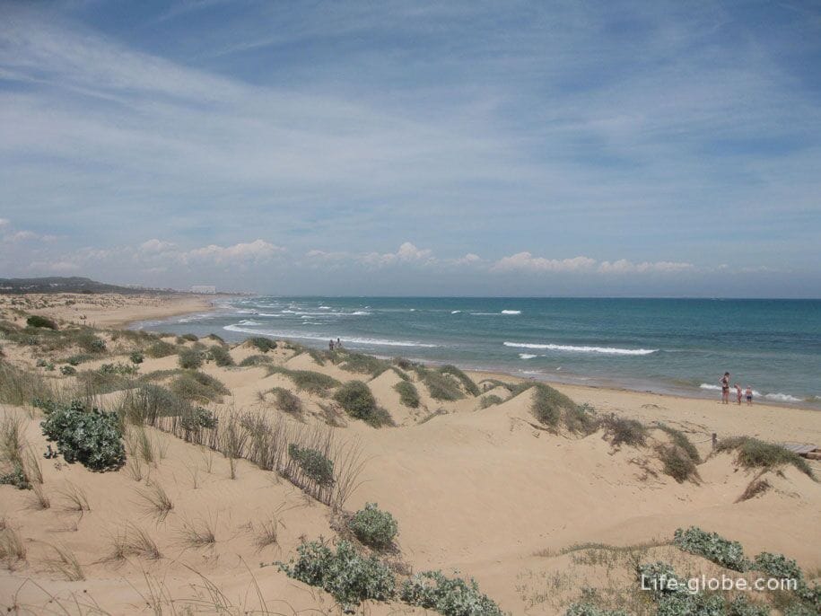 Dunes in Torrevieja