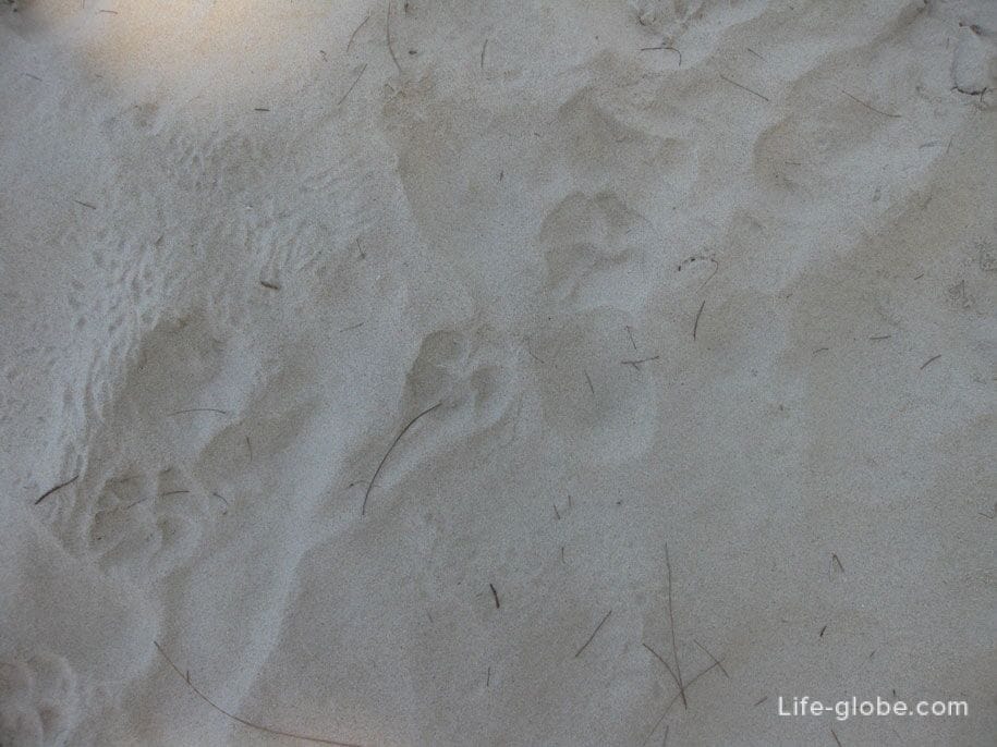 Белый, мягкий песочек на пляже Банг Тао