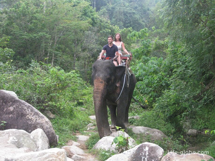 Катание на слонах в Таиланде