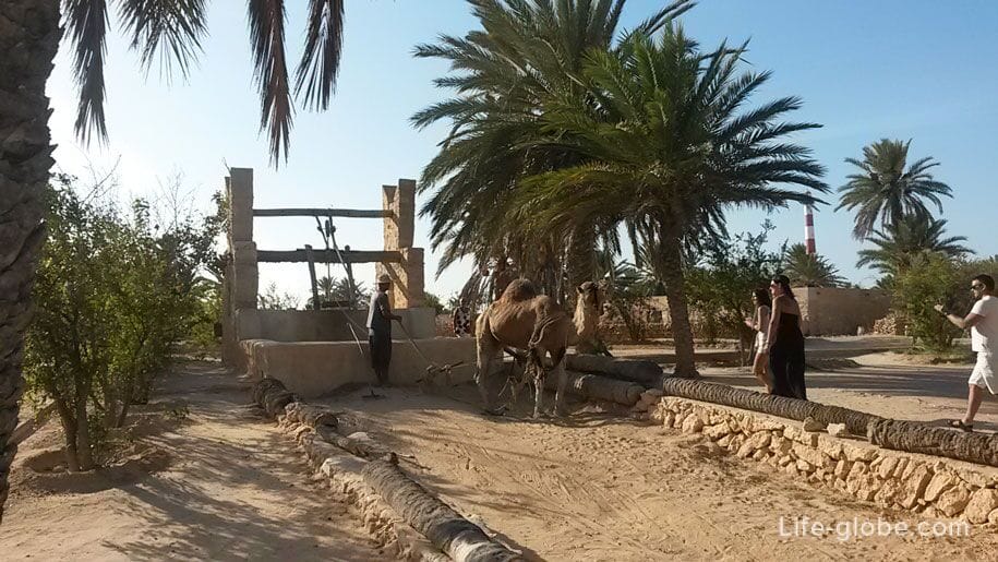 Достопримечательности острова Джерба - тунисская деревня