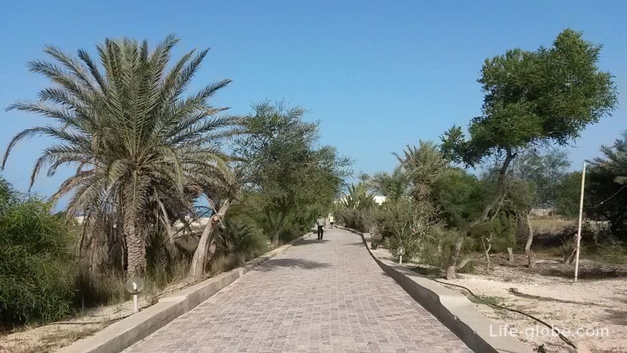 Дорога к пляжу, отель Джерба Плаза, Тунис