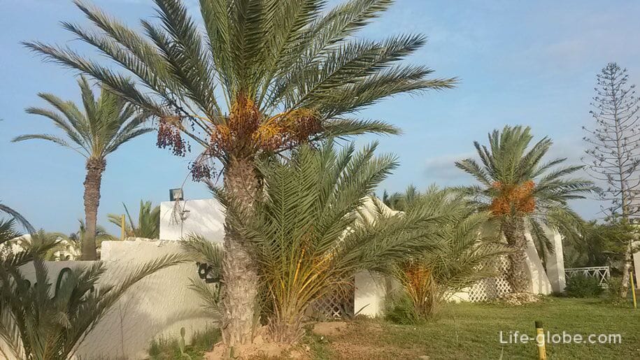 Остров Джерба, Тунис, туристическая зона у отелей