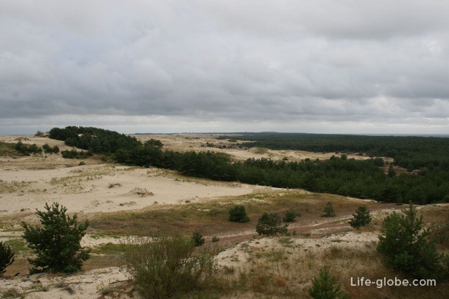 Curonian spit sand dune