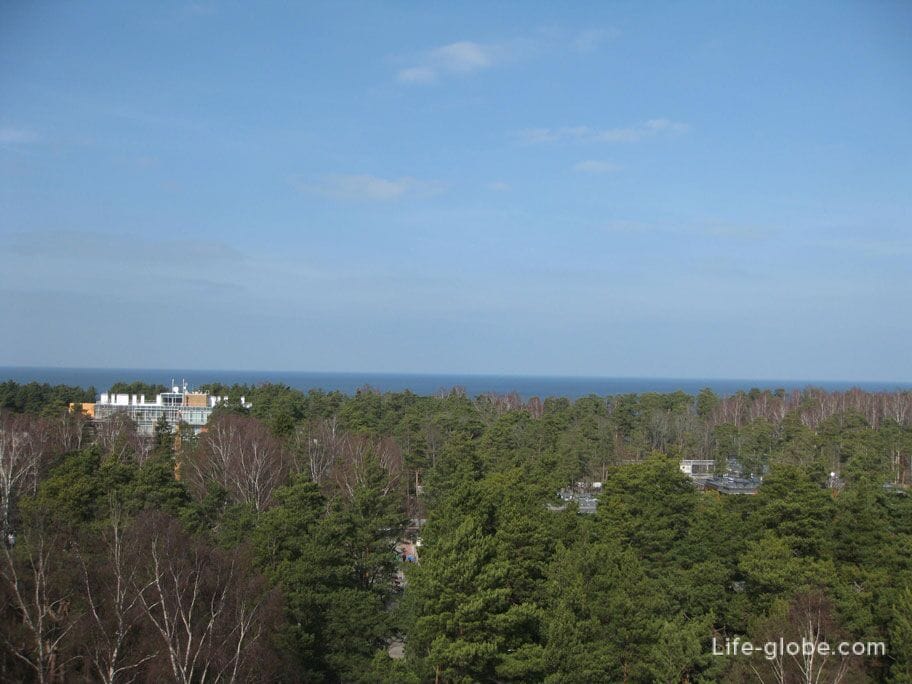 Dzintari Park and the Baltic Sea from a bird's eye view from the tower in Dzintari Park