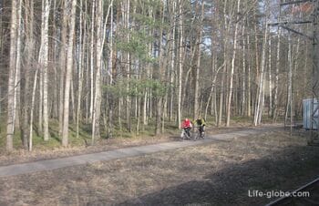 How to get to Jurmala from Riga on your own