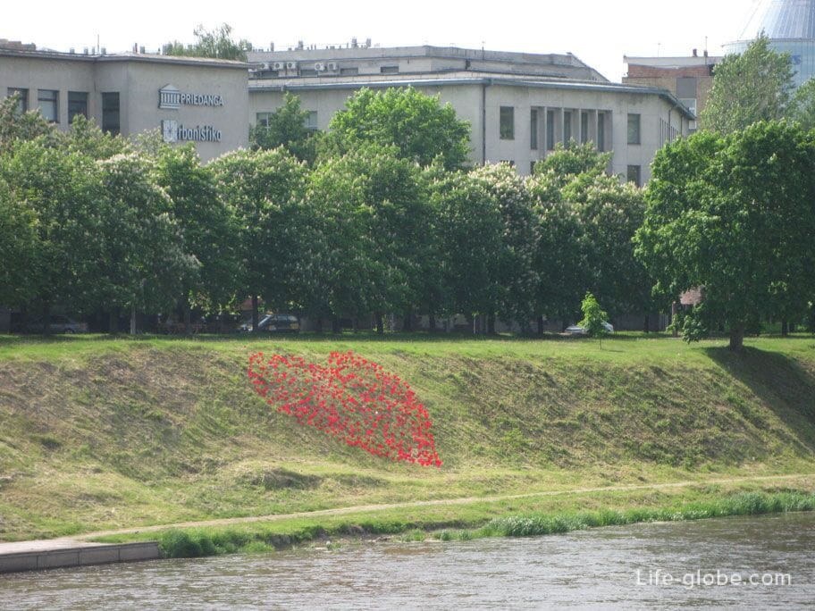 this heart means-we love Vilnius