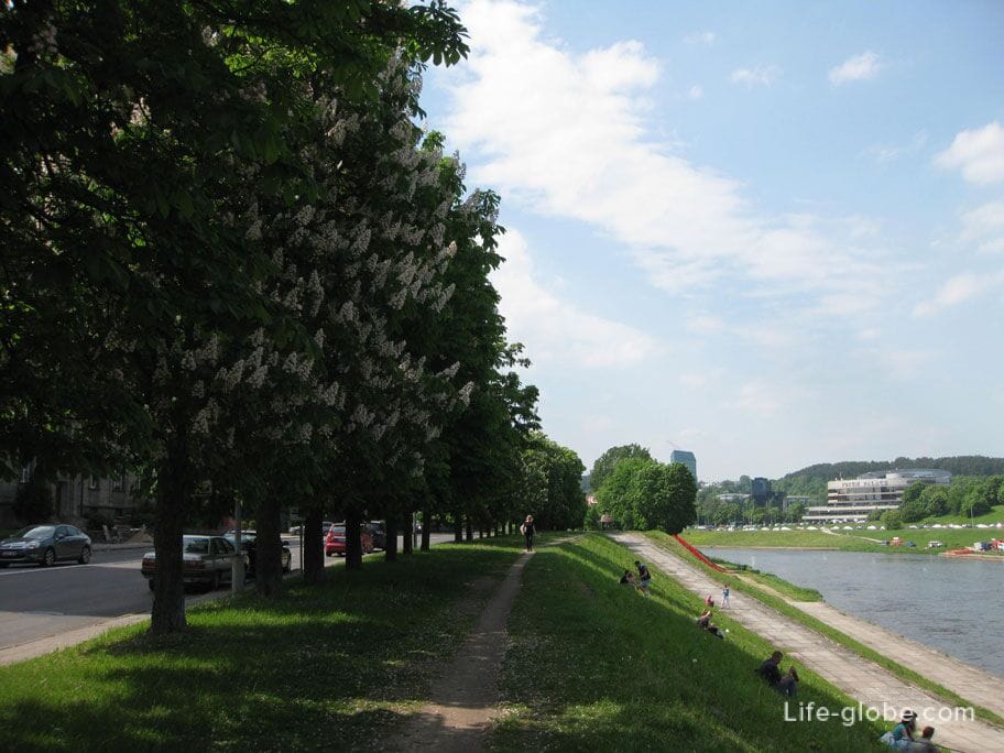 green area of the embankment Vilnius