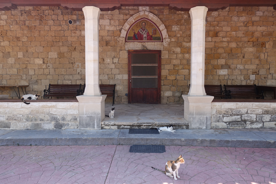 The cat's monastery, Cyprus (Agios Nikolaos ton Gaton Monastery)